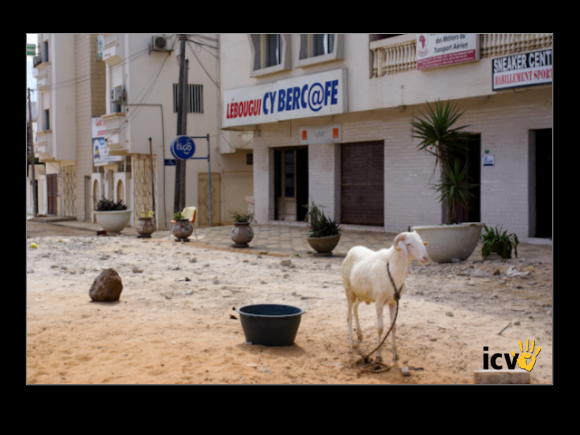./etic/gallery/E-TIC/Senegal/2-071.jpg