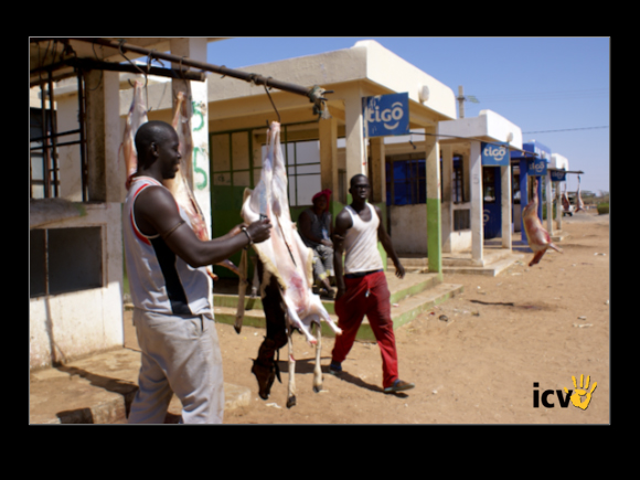 ./etic/gallery/E-TIC/Senegal/2-077.jpg