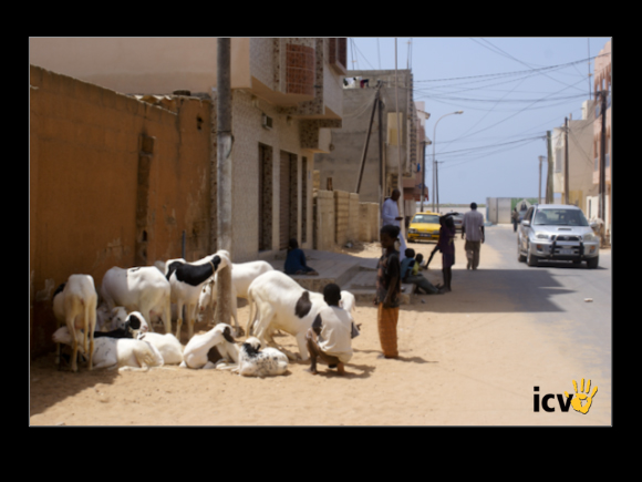 ./etic/gallery/E-TIC/Senegal/2-162.jpg