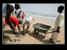 ./etic/gallery/E-TIC/Senegal/_thb_2-033.jpg