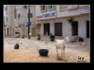 ./etic/gallery/E-TIC/Senegal/_thb_2-071.jpg